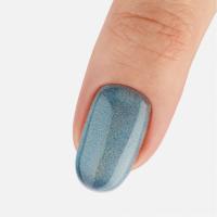 IVA nails Гель-лак Rainbow cat-eye №6
