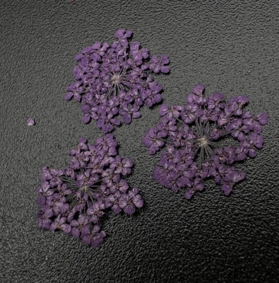 1684 Сухоцветы "Любимые цветочки"